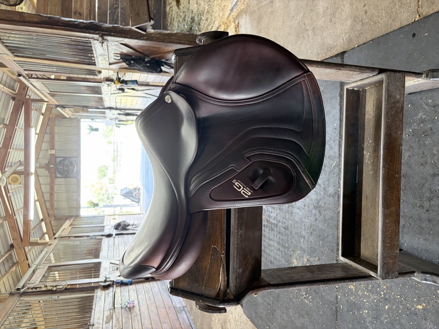 CWD SE26 | 17.5" 1 | 4.5" Tree Size | 2019
