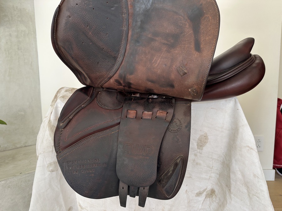 CWD | 16.5" | 4.75" Tree Size