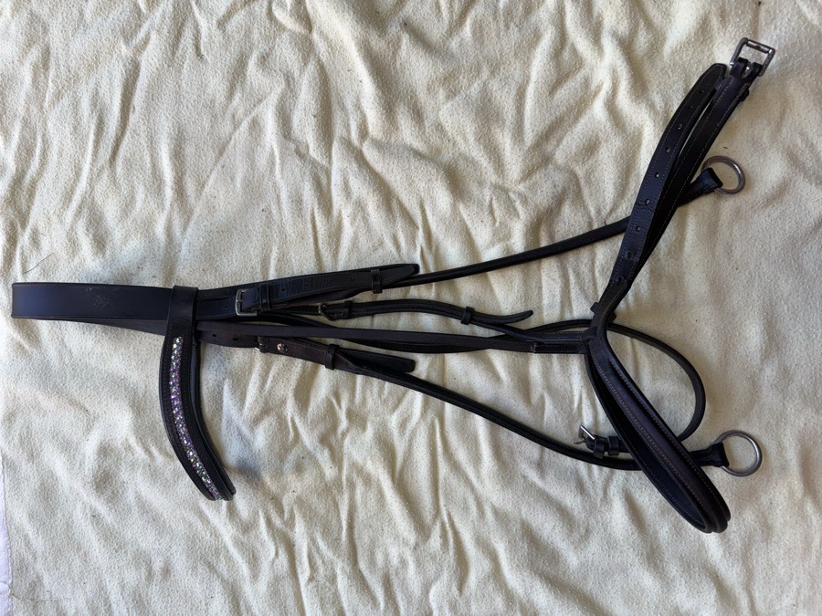 oversized sliding gag bridle