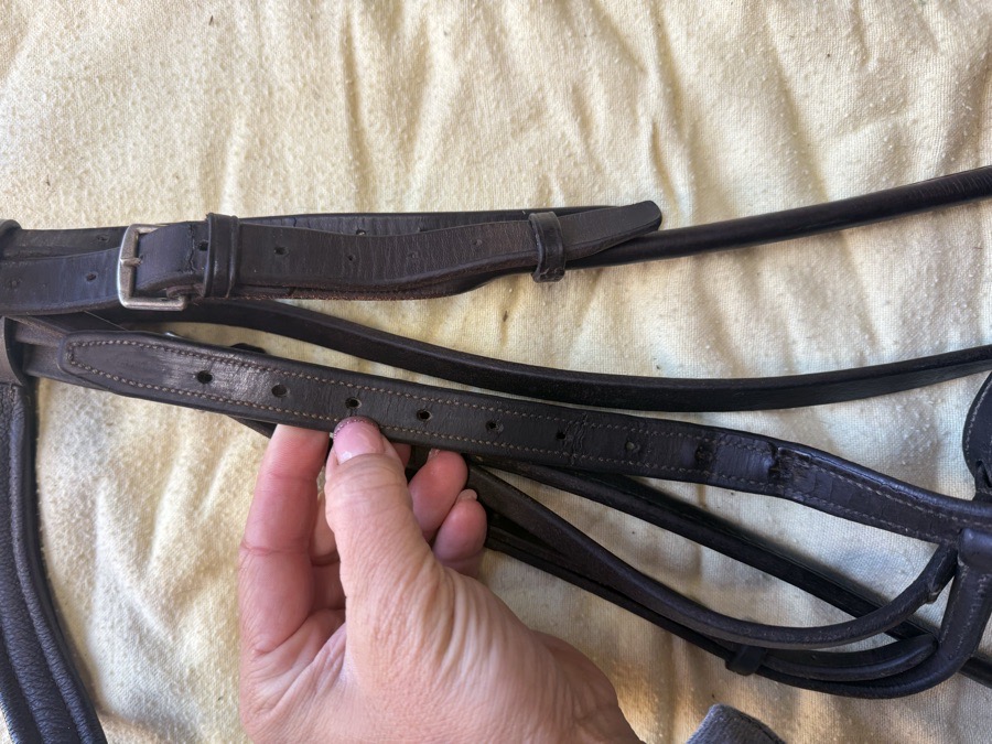 oversized sliding gag bridle
