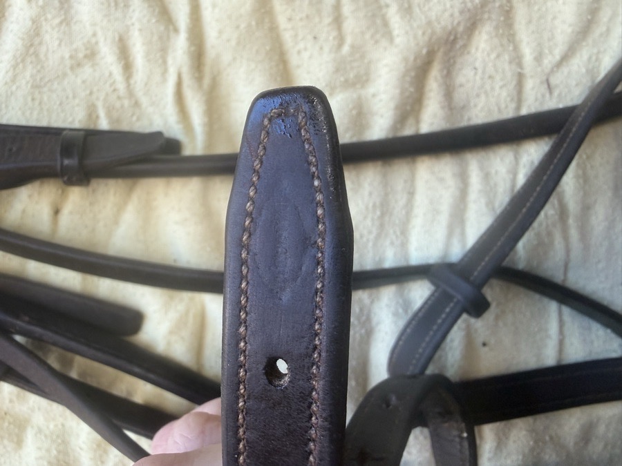 oversized sliding gag bridle