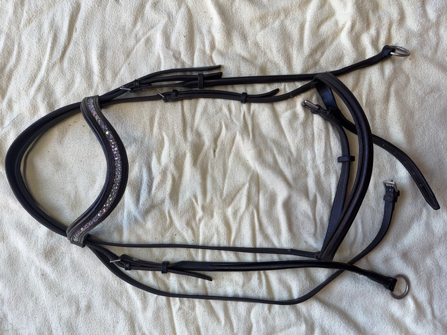 oversized sliding gag bridle