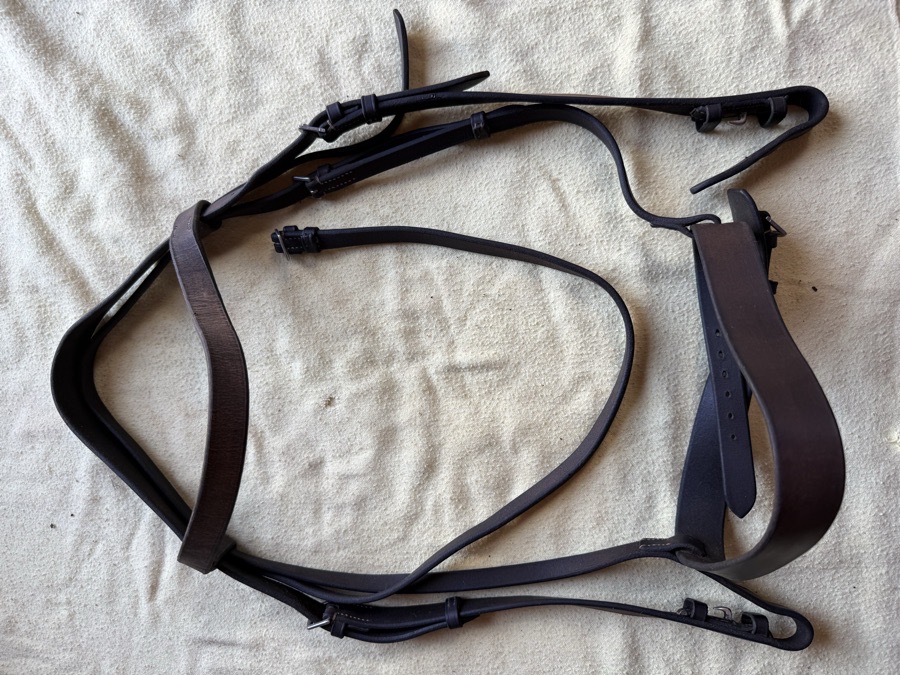 full sized hunt bridle