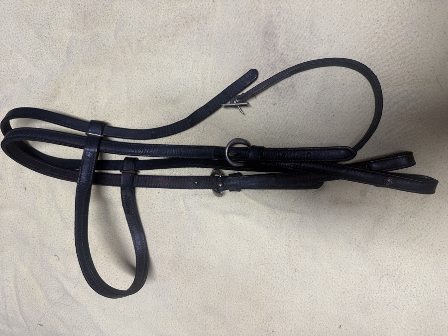 TORY browband headstall