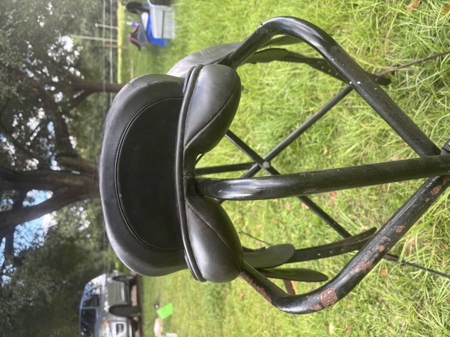 Albion dressage saddle