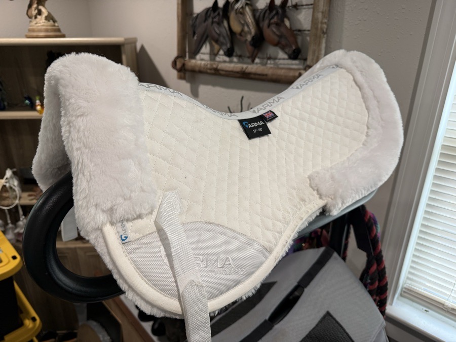 Shires Arma Half Pad