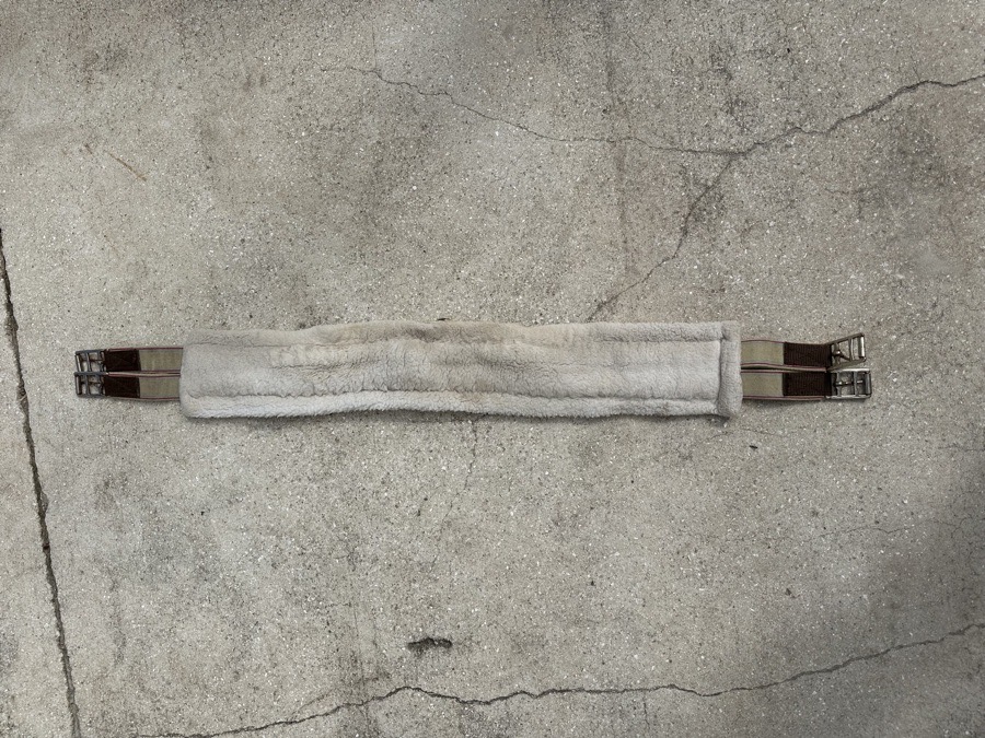 Perri’s Girth 42”