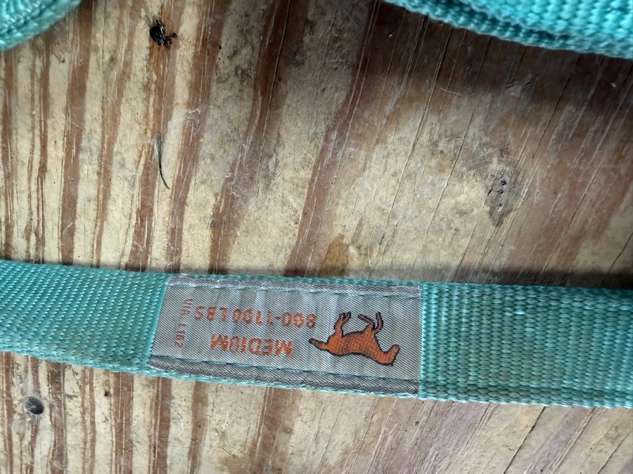 teal halter and leadrope