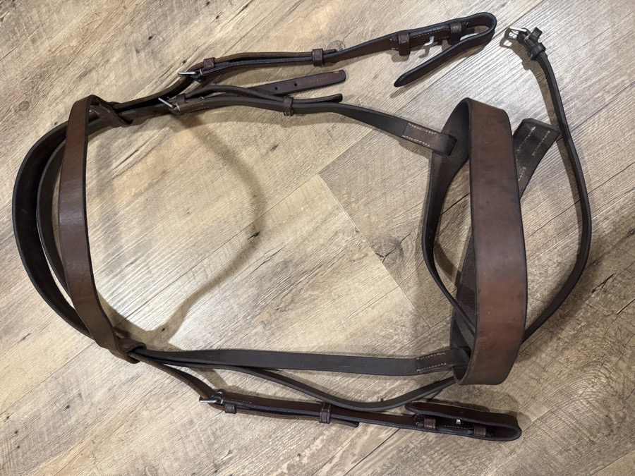 Oversized hunt bridle