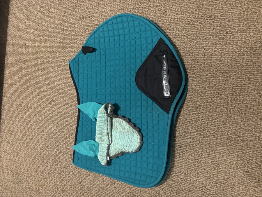 Teal saddle pad and bonnet (pony)