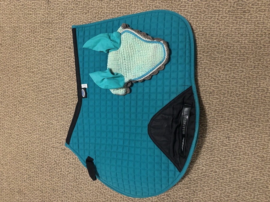 Teal saddle pad and bonnet (pony)