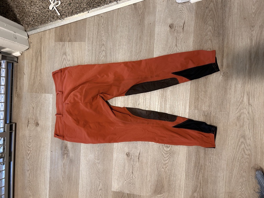 RJ CLASSICS Riding Pants - Breeches