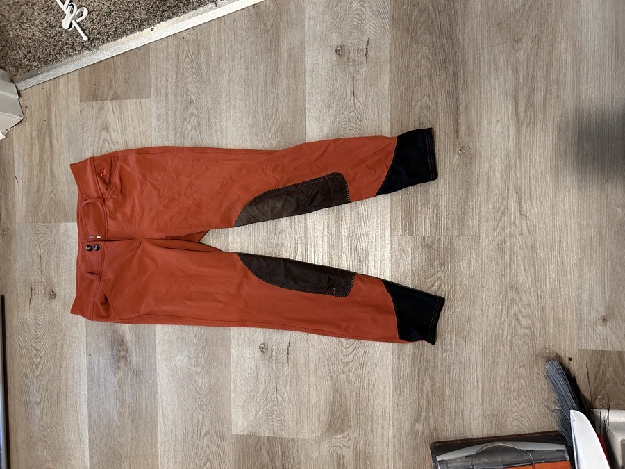 RJ CLASSICS Riding Pants - Breeches