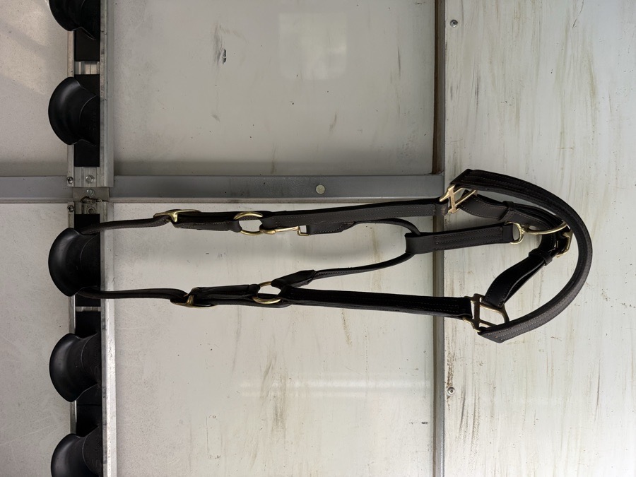 Leather Halter