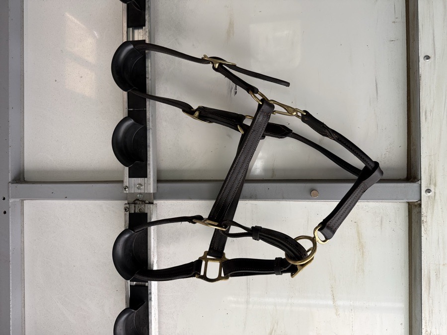 Leather Halter