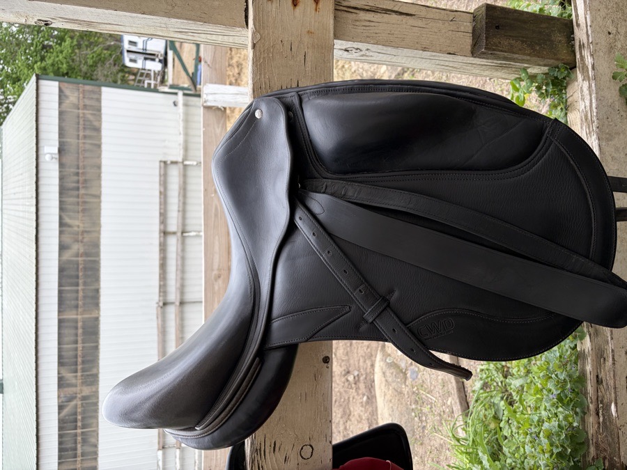 CWD Classique | 18" 2A | 3.75" Tree Size | 2013