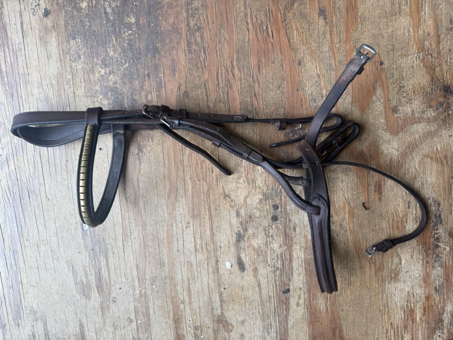 cob clincher bridle