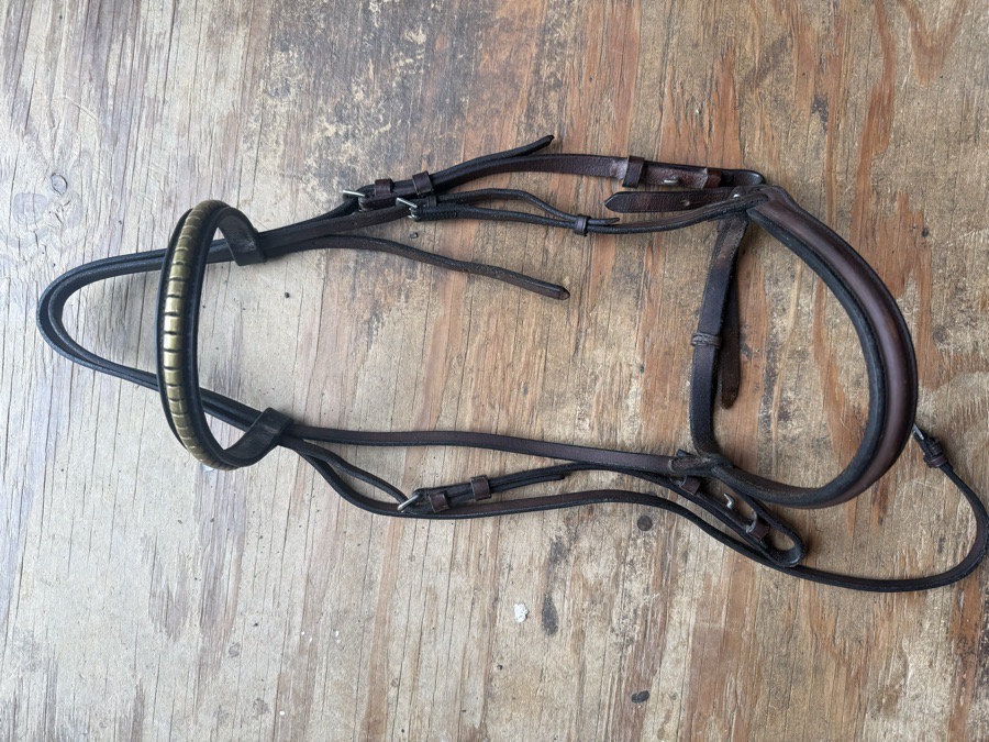 cob clincher bridle