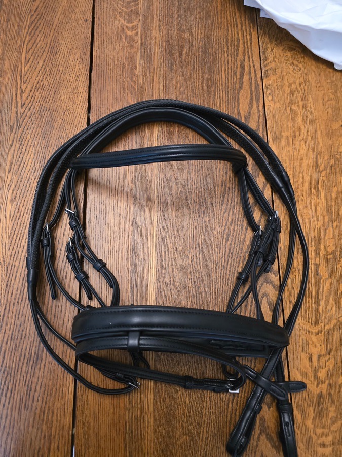 COLLEGIATE Bridle Horse