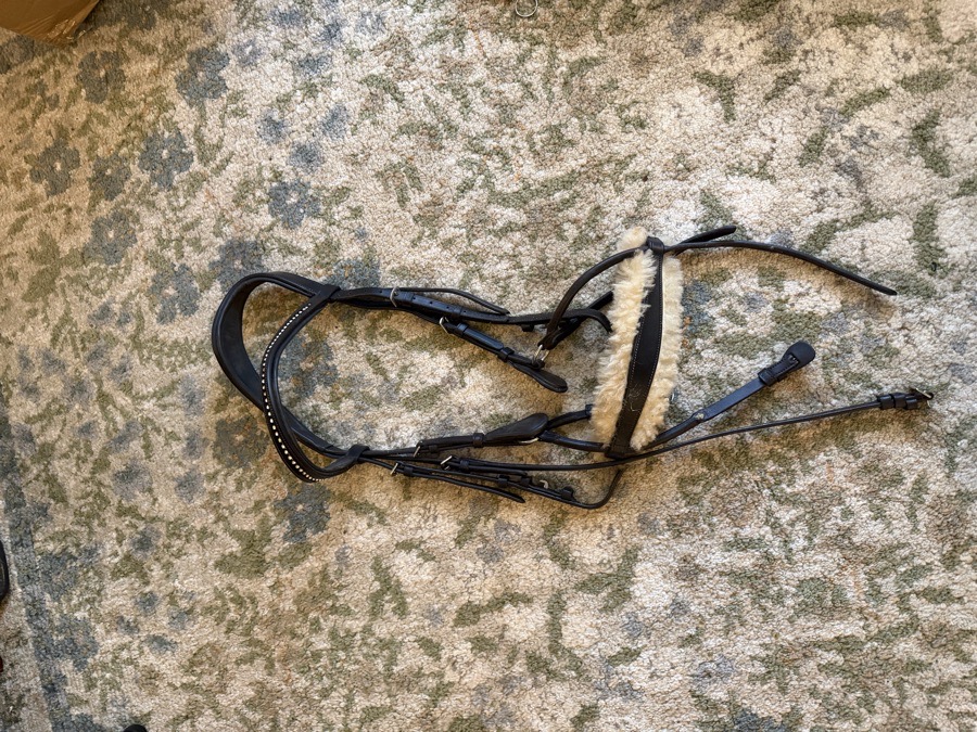 COLLEGIATE Bridle Horse