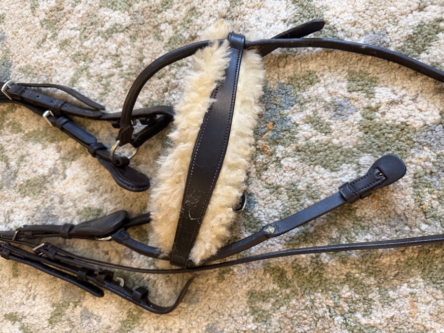 COLLEGIATE Bridle Horse