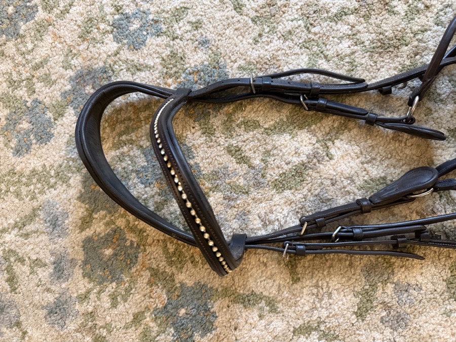 COLLEGIATE Bridle Horse