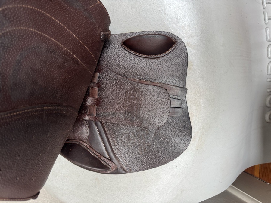 18” CWD SE02 - 2019 - 3L - Full Buffalo - MINT