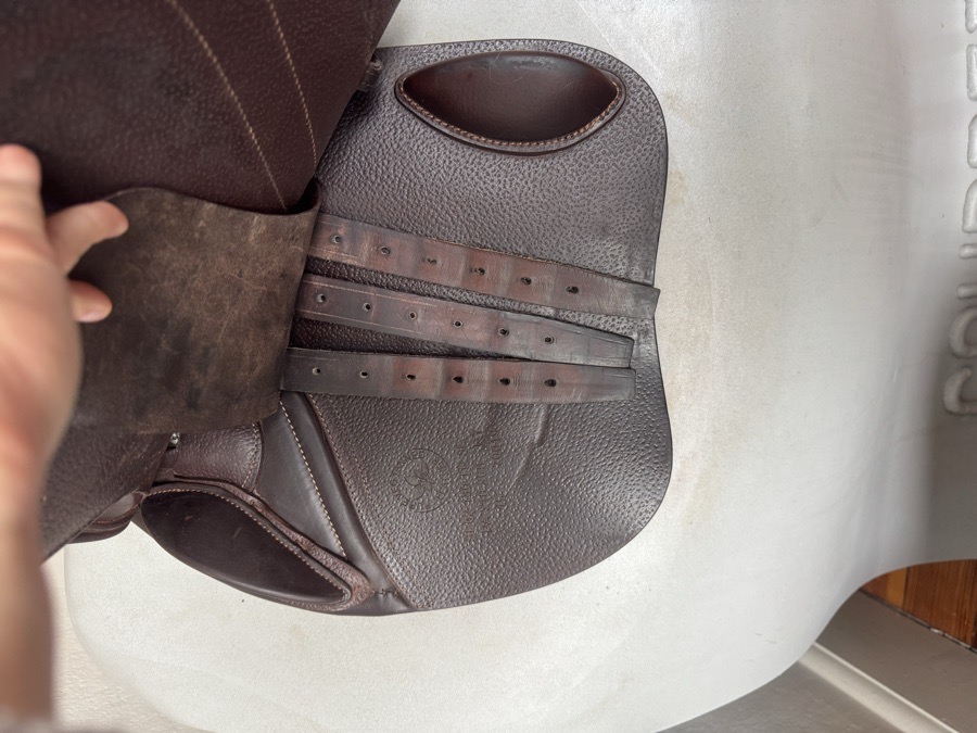 18” CWD SE02 - 2019 - 3L - Full Buffalo - MINT