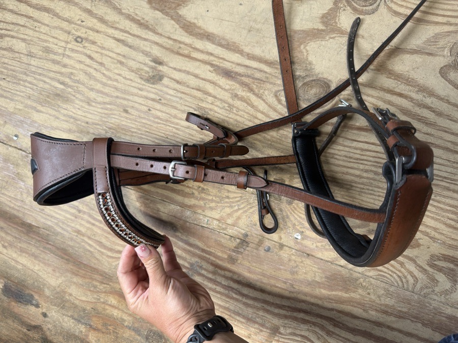 Brown anatomical cob bridle