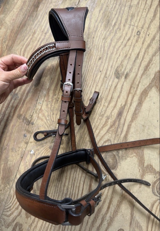 Brown anatomical cob bridle