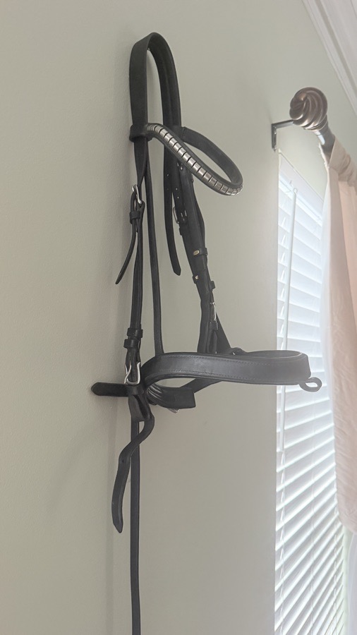 COLLEGIATE Bridle Cob
