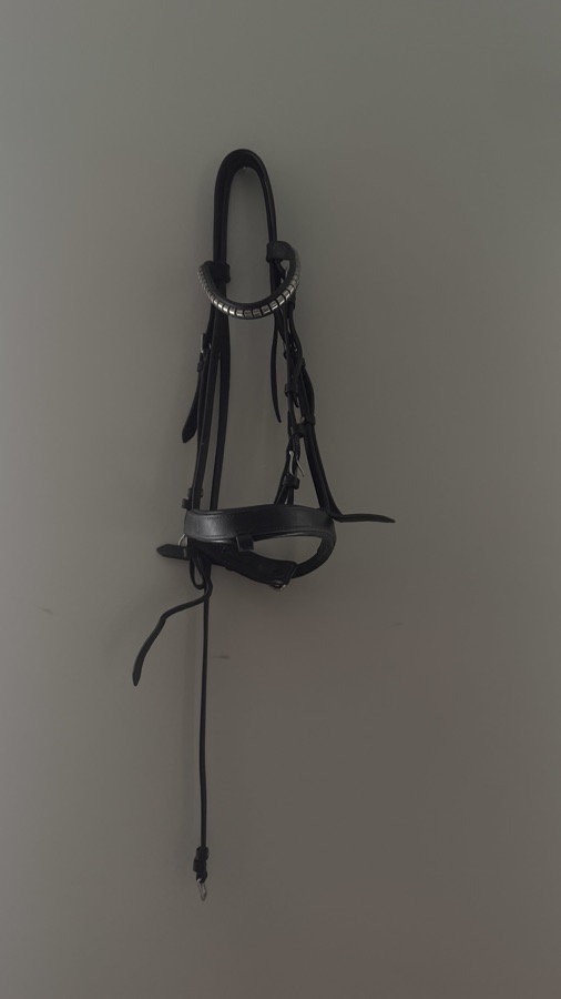 COLLEGIATE Bridle Cob
