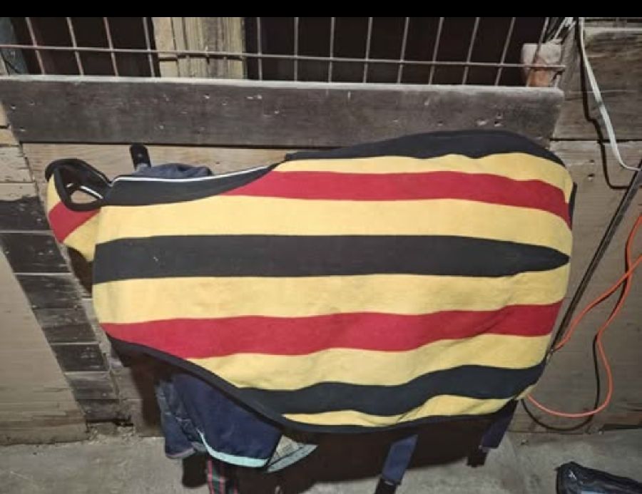 RAMBO MICKLEM Rain Blanket & Sheets Horse