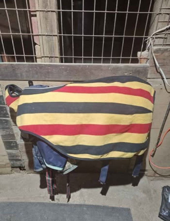 RAMBO MICKLEM Rain Blanket & Sheets Horse
