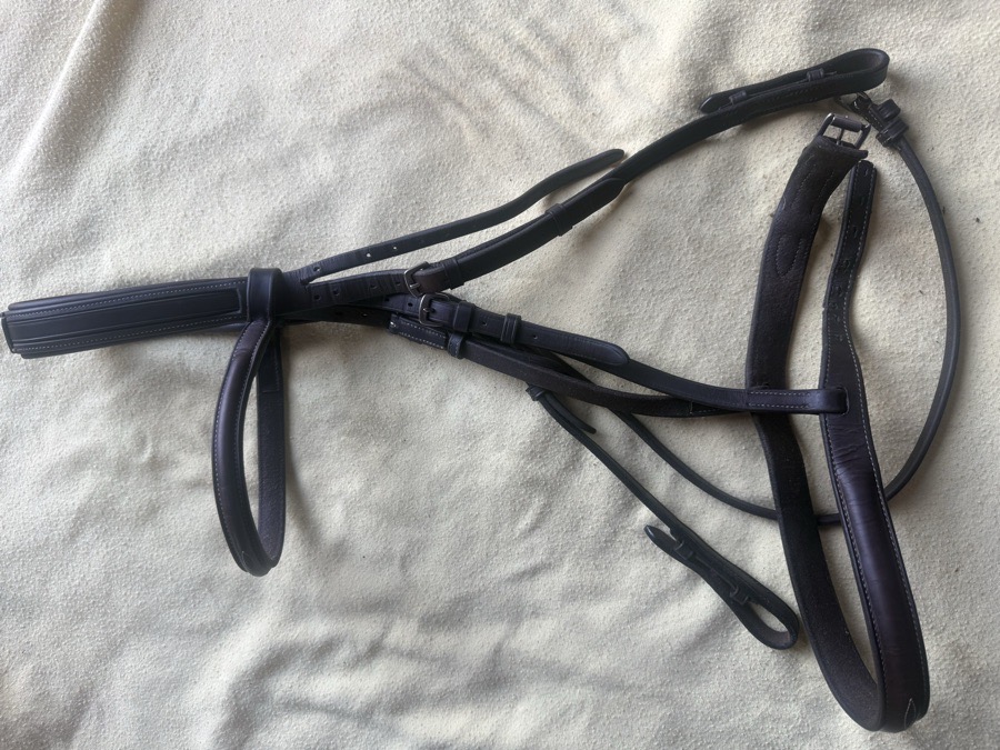 Oversized Wellfleet comfort crown fancy stitch bridle