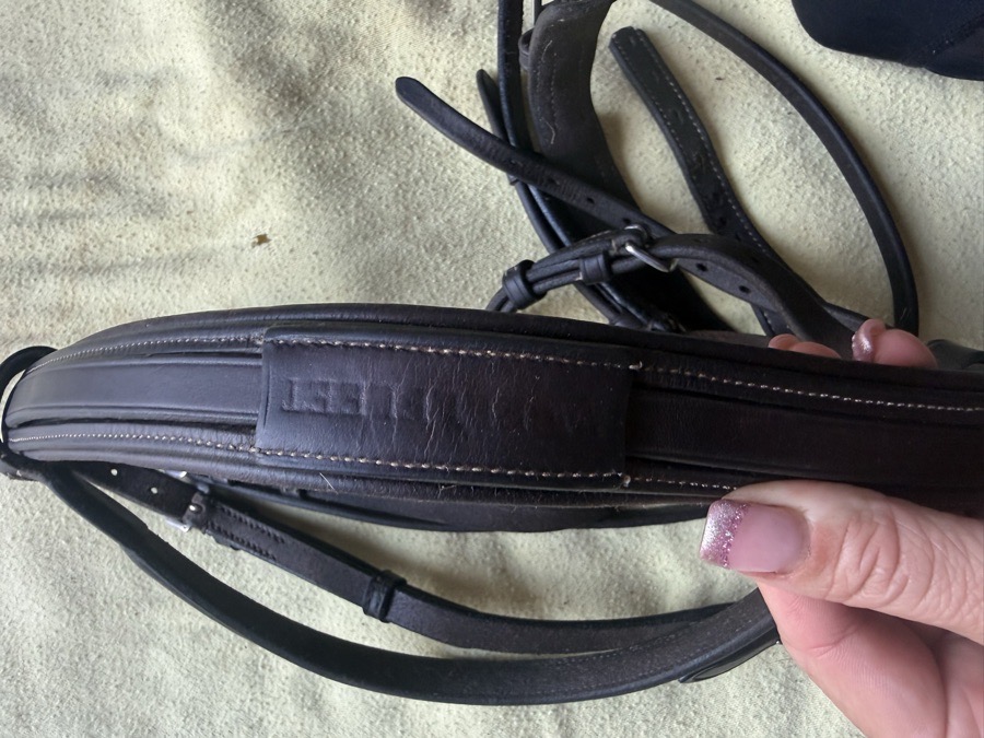 Oversized Wellfleet comfort crown fancy stitch bridle