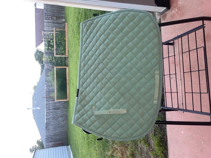 dover saddle pad