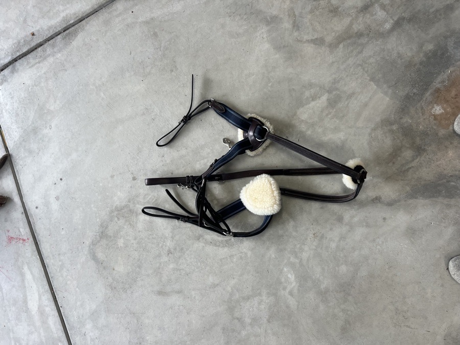 Nunn finer 5 point breastplate with blue elastic -Horse Havana