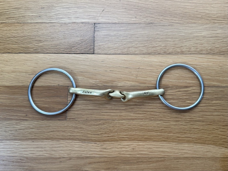 Neue Schule Verbindend