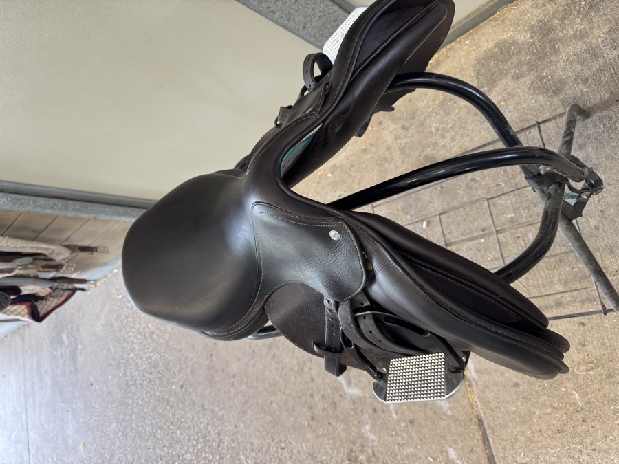 Voltaire Saddle 