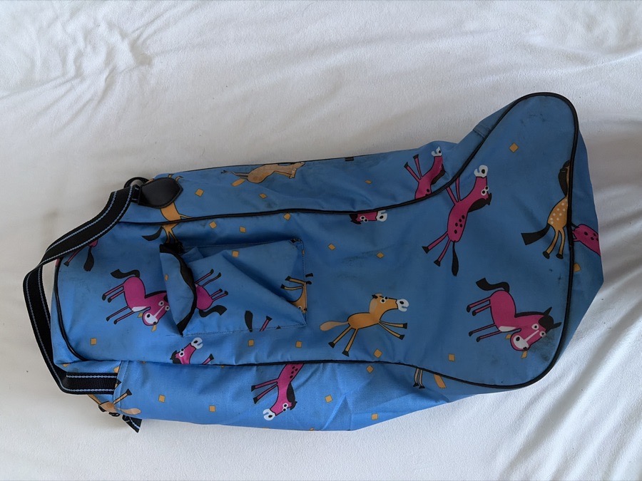 CENTAUR Boot Bag