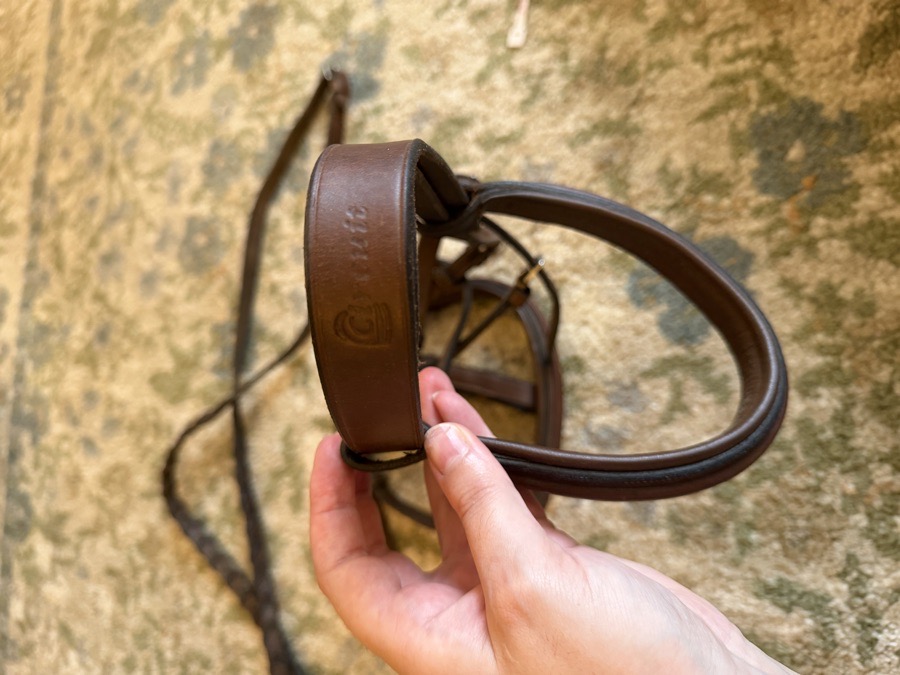 DOVER CIRCUIT Bridle Cob