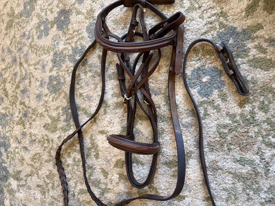 DOVER CIRCUIT Bridle Cob