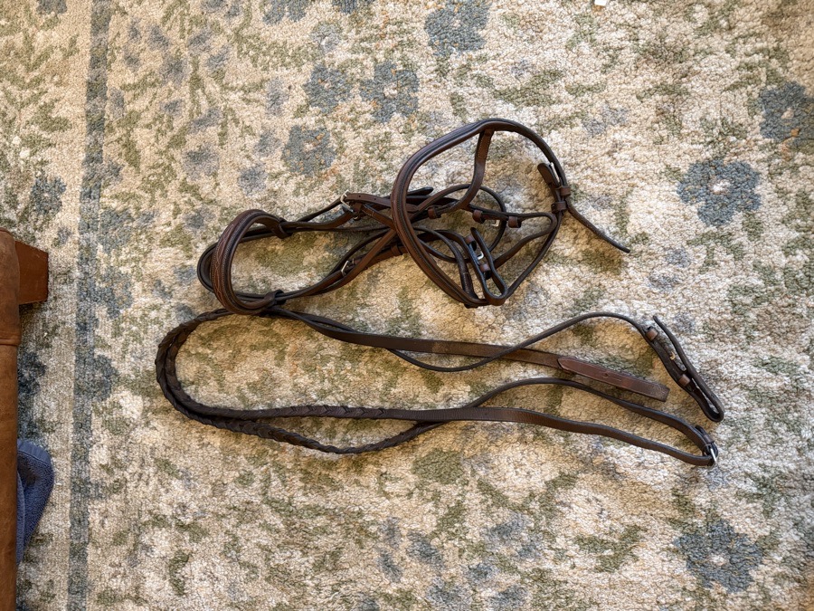 DOVER CIRCUIT Bridle Cob