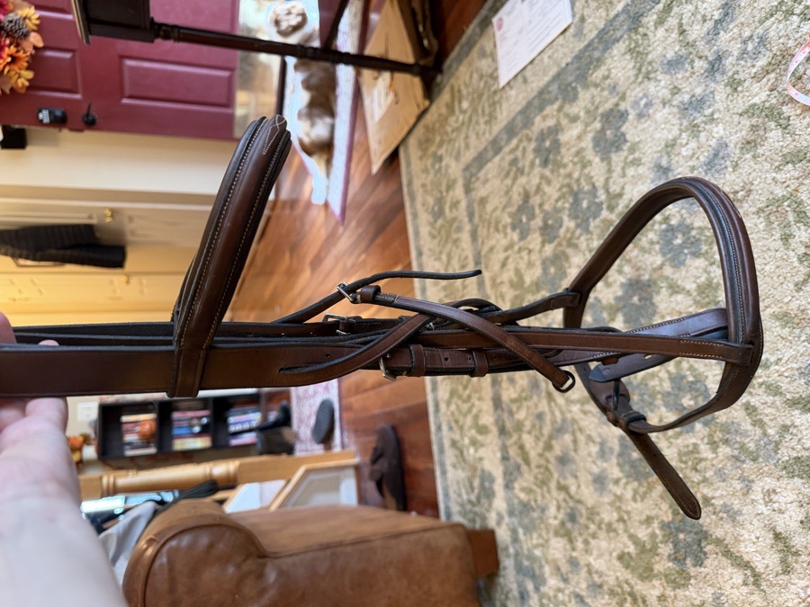 DOVER CIRCUIT Bridle Cob