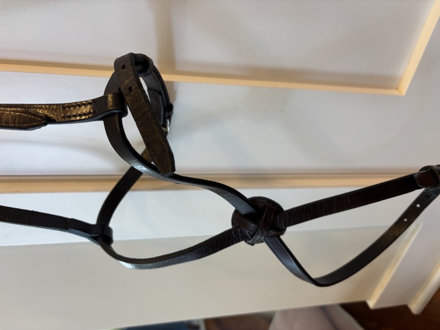 Brown Figure-eight noseband