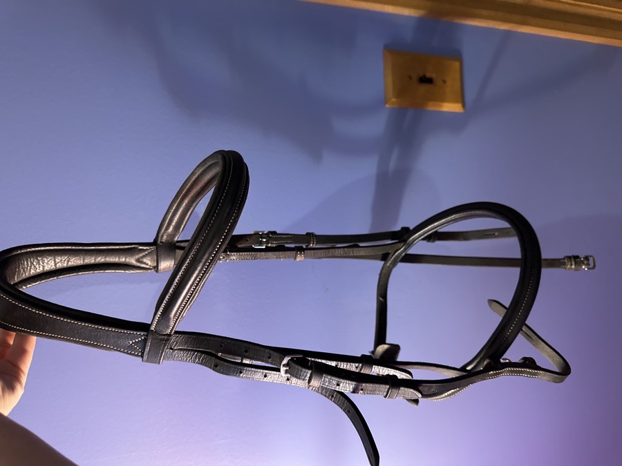 English bridle 