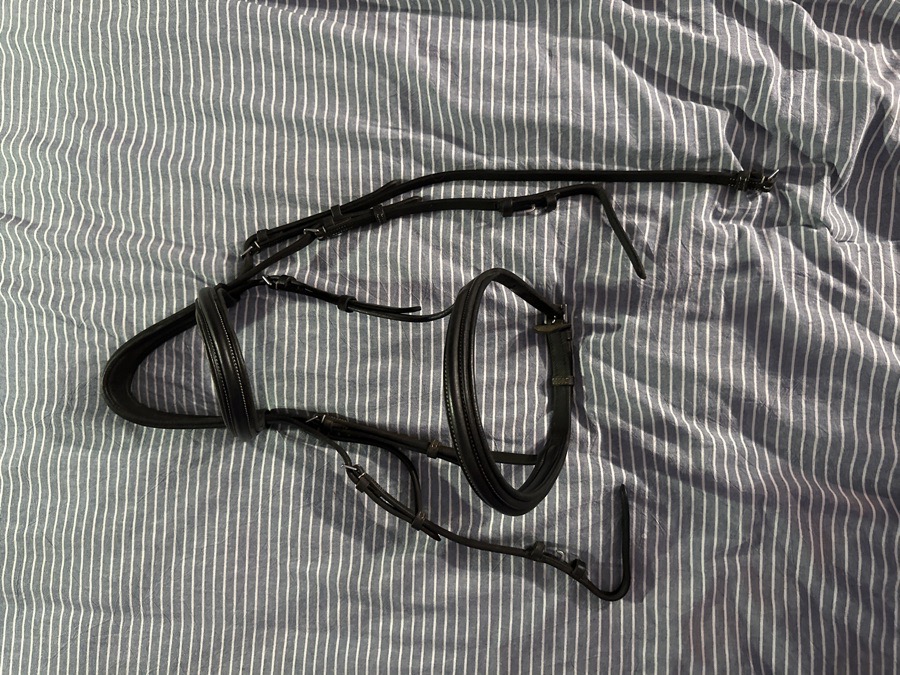 English bridle 