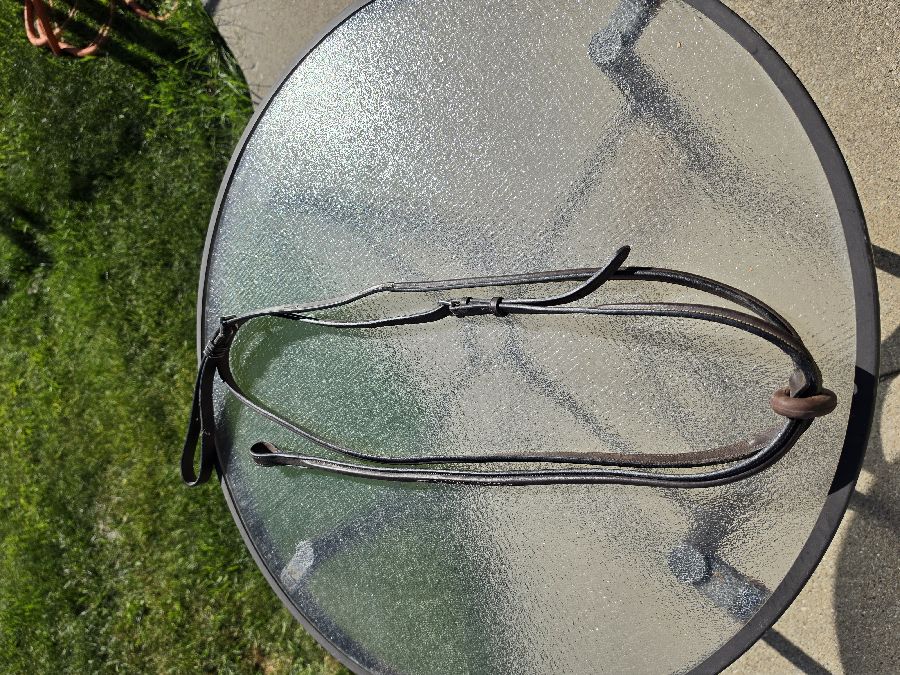 EXION Standing Martingale Horse Size