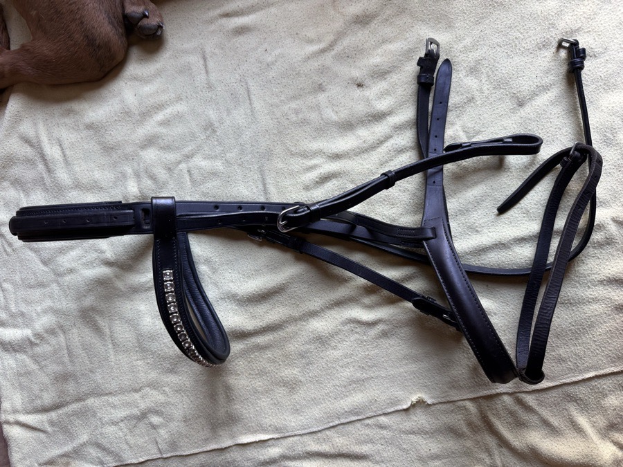 Black OverSize flash bridle